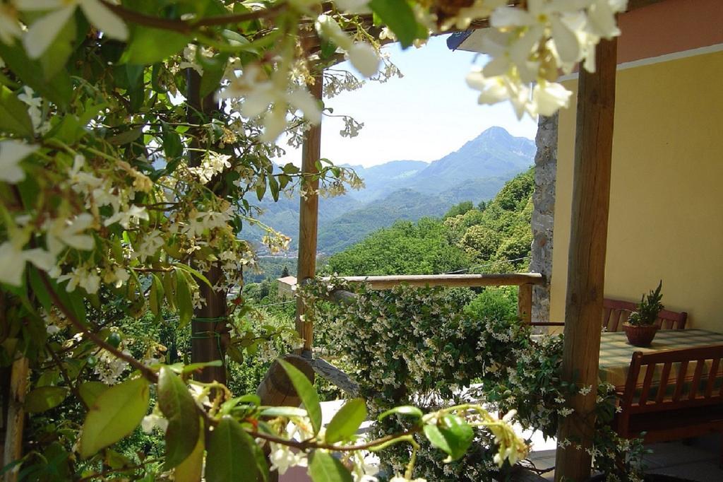 Il Trebbio Villa Barga Buitenkant foto