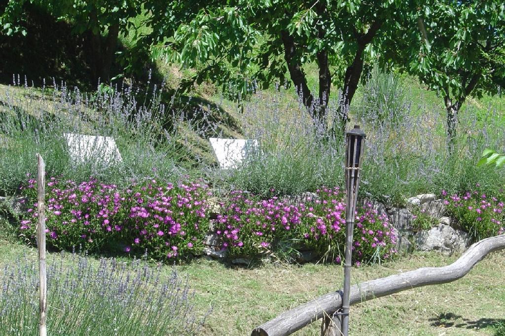 Il Trebbio Villa Barga Buitenkant foto