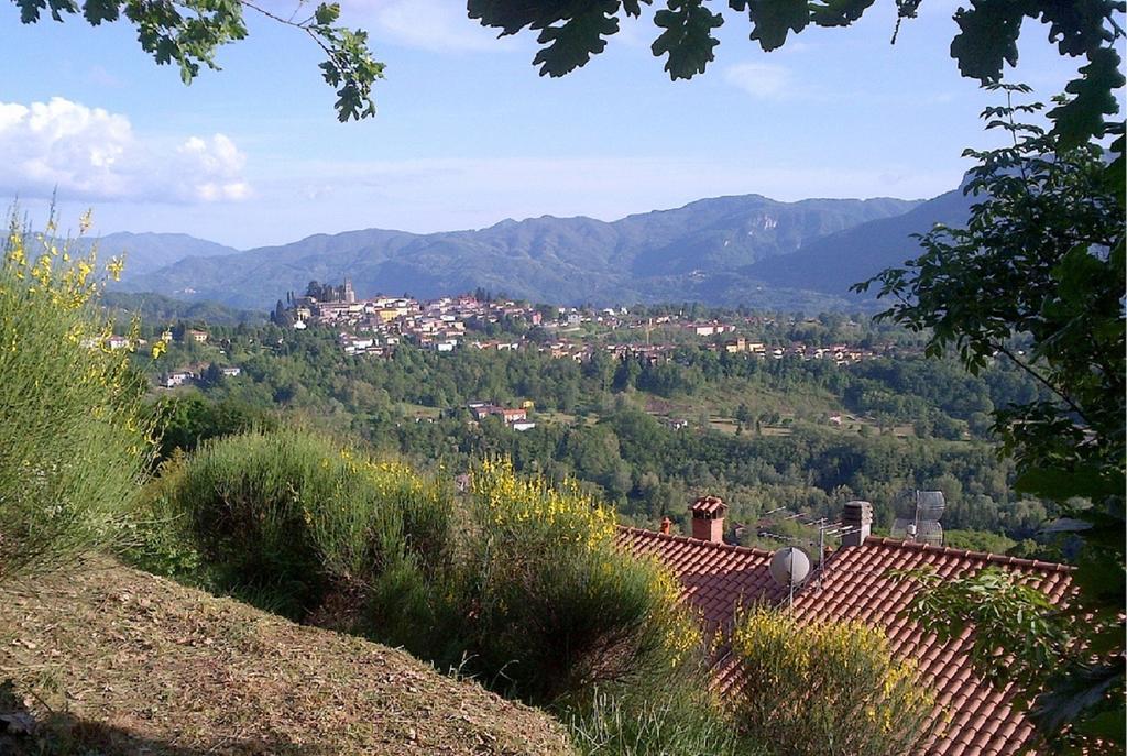 Il Trebbio Villa Barga Kamer foto