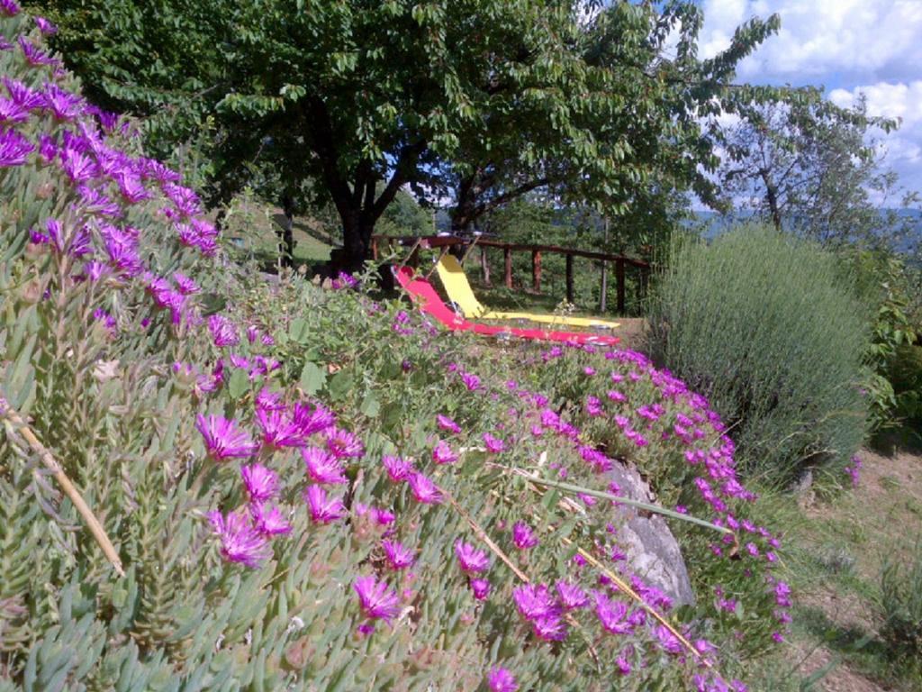 Il Trebbio Villa Barga Kamer foto