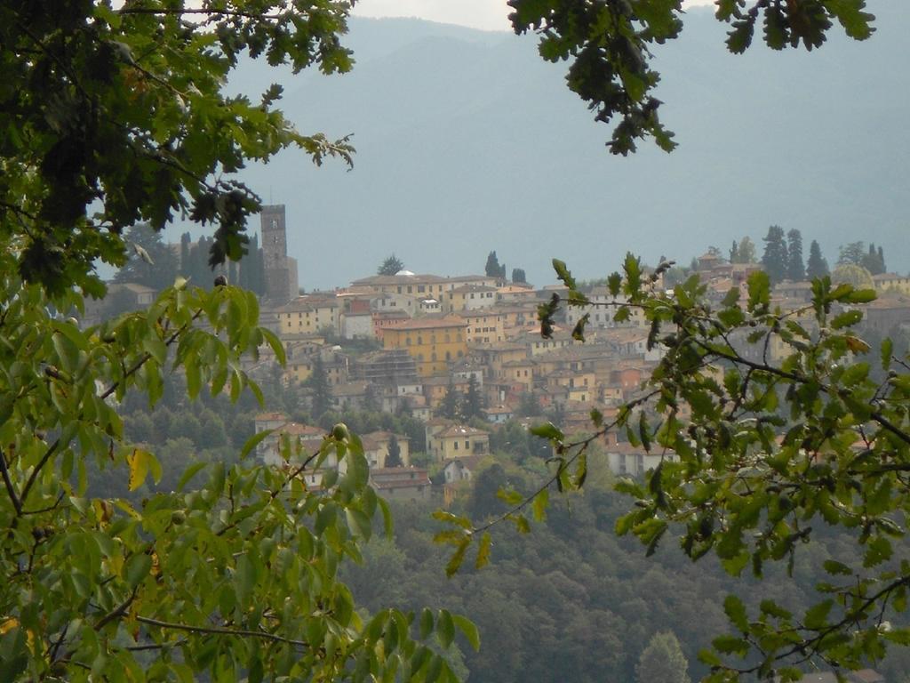 Il Trebbio Villa Barga Buitenkant foto